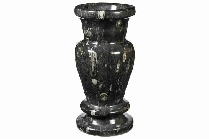 Limestone Vase With Orthoceras Fossils #122442